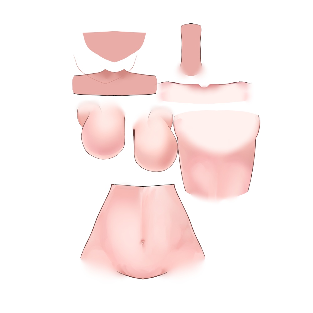 live2d base body psd.