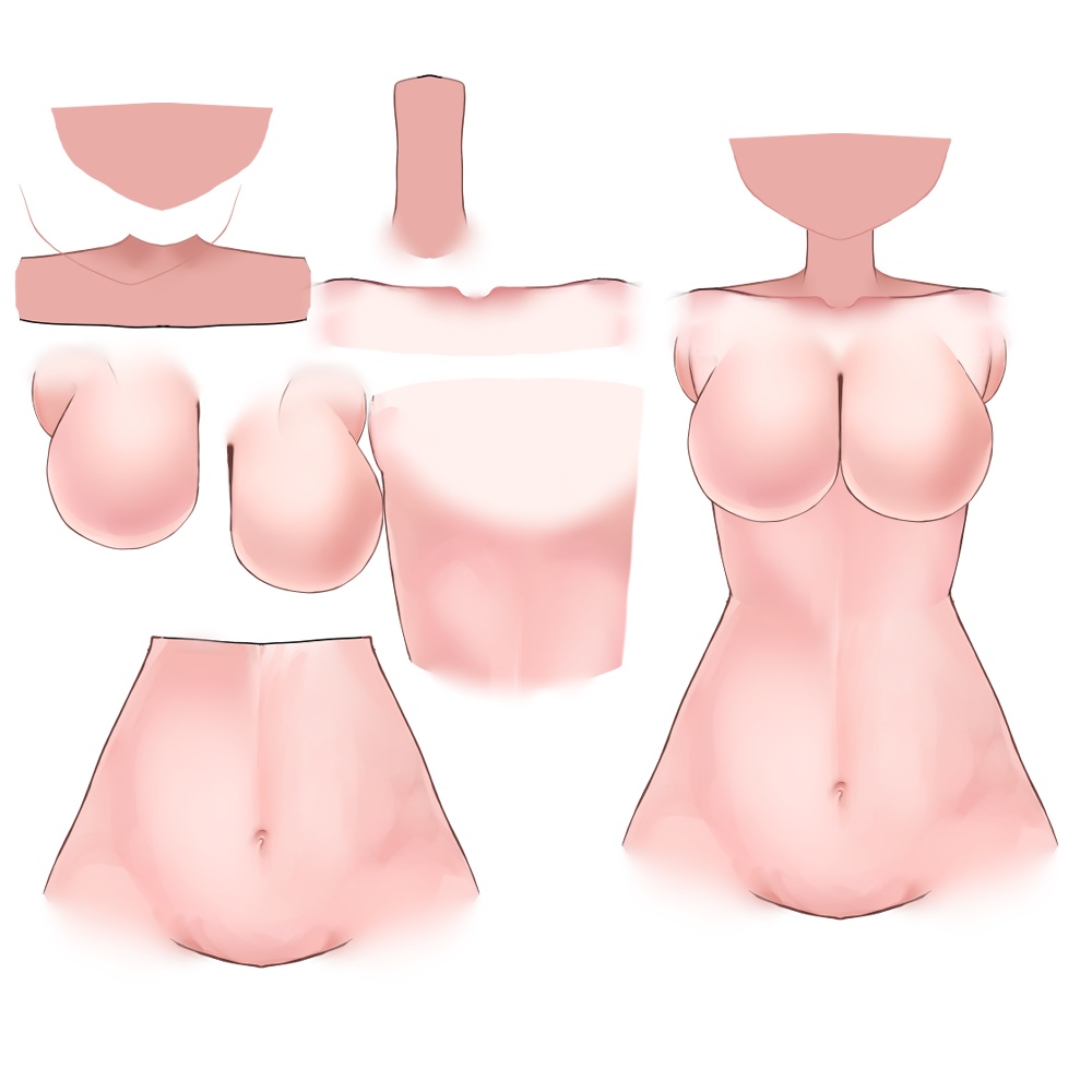 live2d base body psd.
