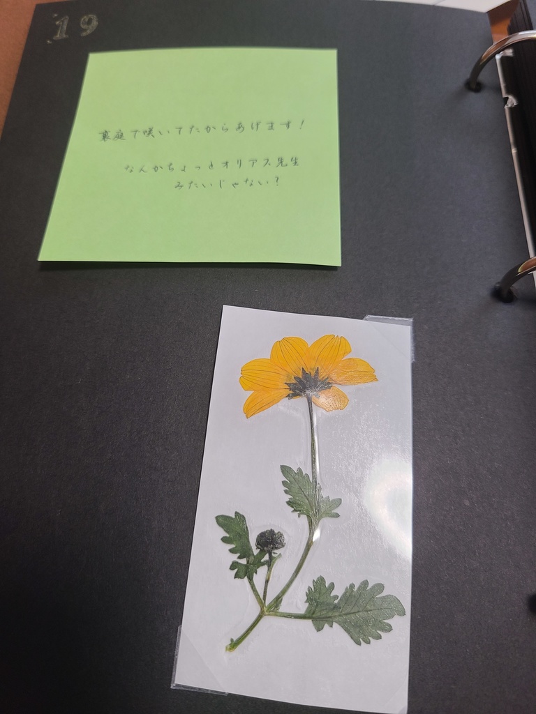 題名のない記録