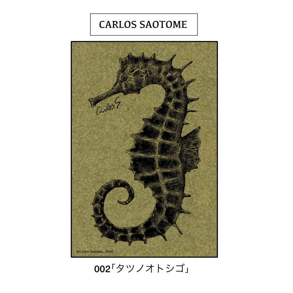 特殊紙ポストカード『海の生物』3種セット