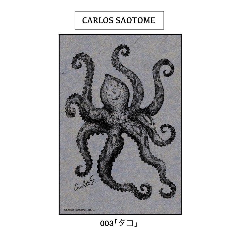 特殊紙ポストカード『海の生物』3種セット