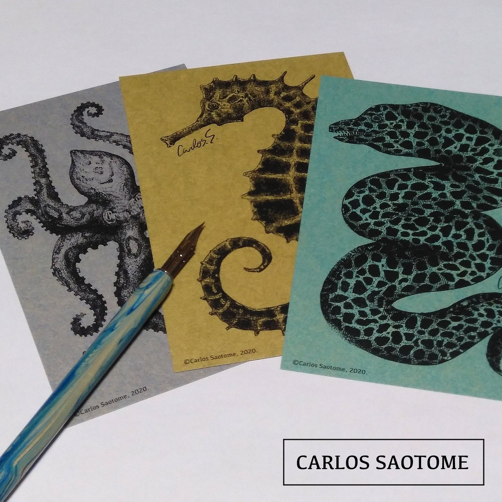 特殊紙ポストカード『海の生物』3種セット