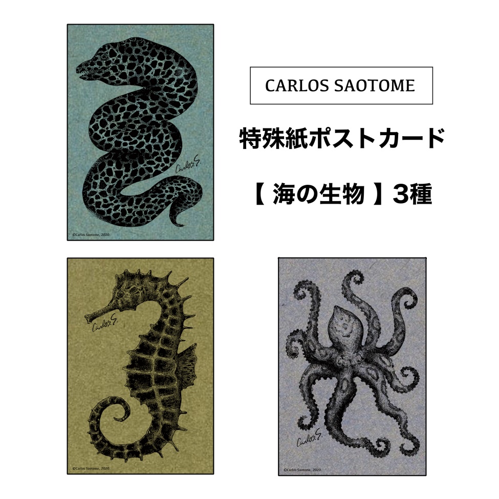 特殊紙ポストカード『海の生物』3種セット