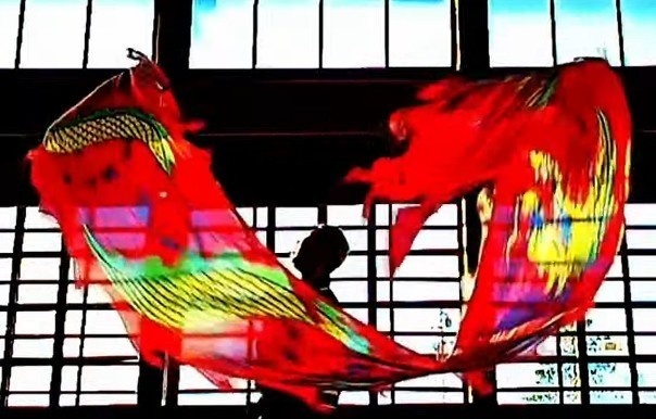 自然に流れる龍の動き ─ ドラゴンポイ基礎レッスン(動