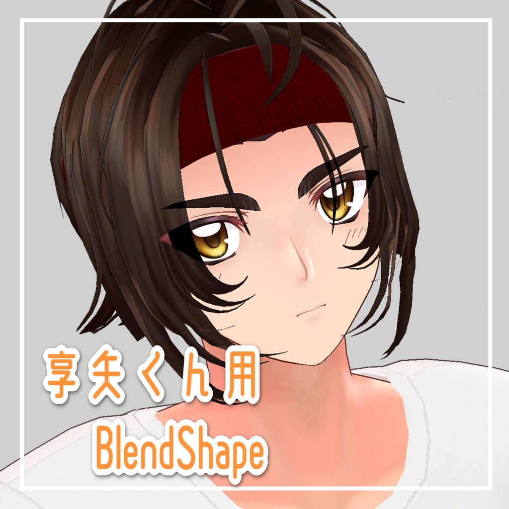 享矢くん用　Blendshape