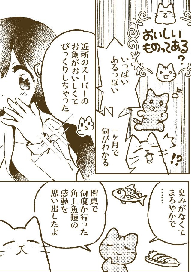 (紙冊子・電子版)静岡一年生