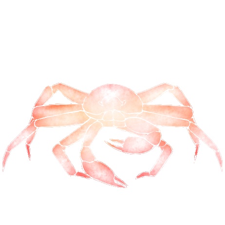 宝石みたいな魚素材