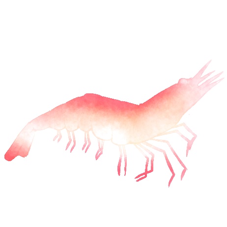 宝石みたいな魚素材