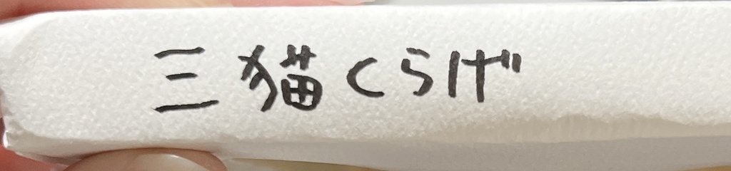 オリジナルイラスト ペン画 キャンバス