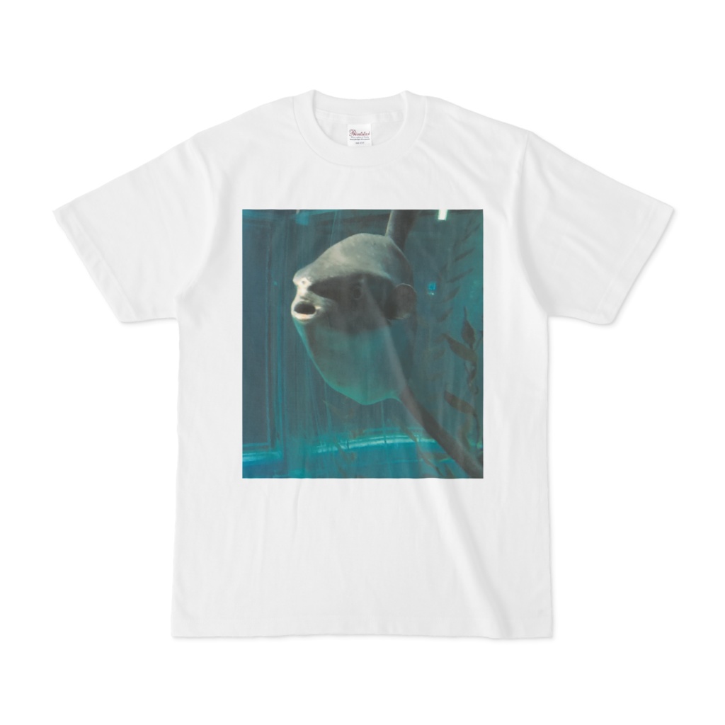 マンボウTシャツ