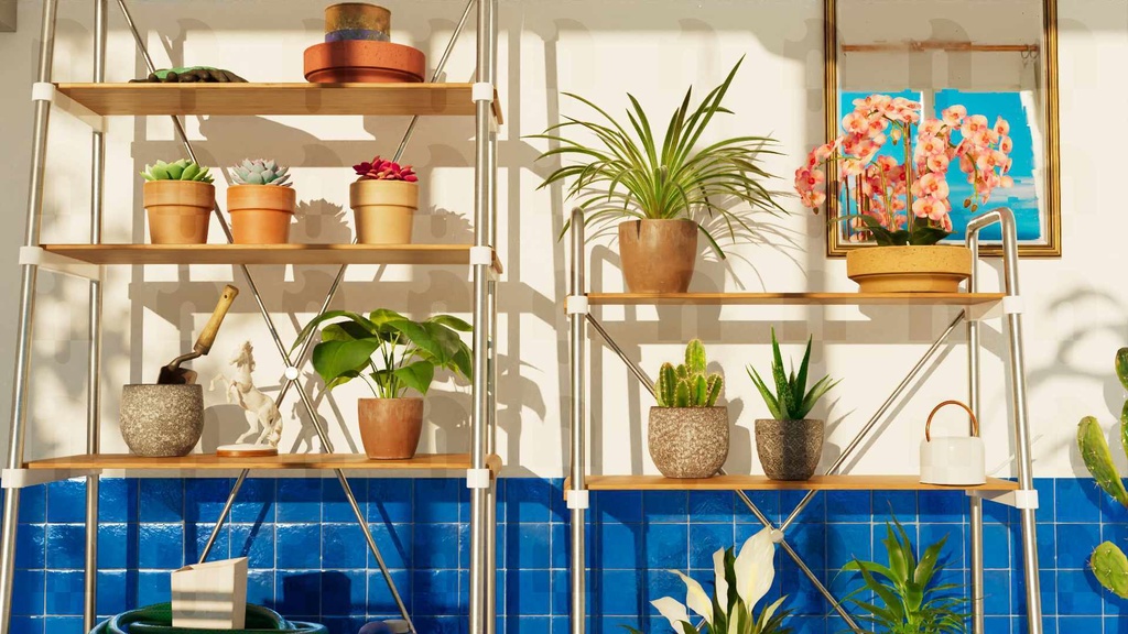 Plants Shelf | Streaming Background