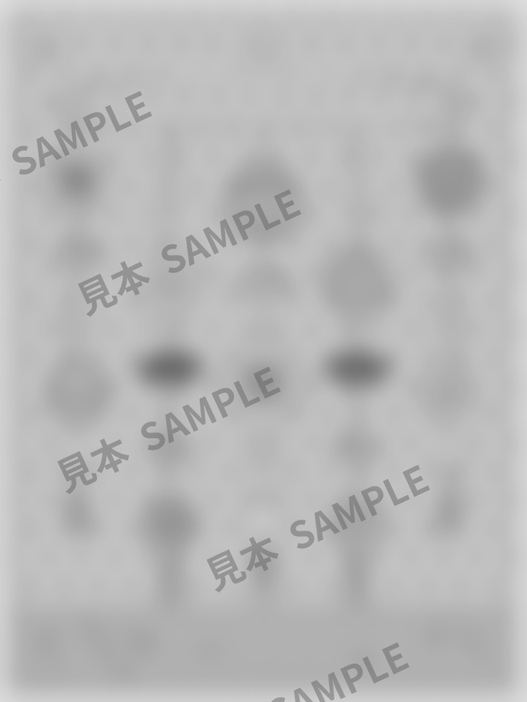 大人のぬりえ|手毬と吉祥文様6枚(PDF)