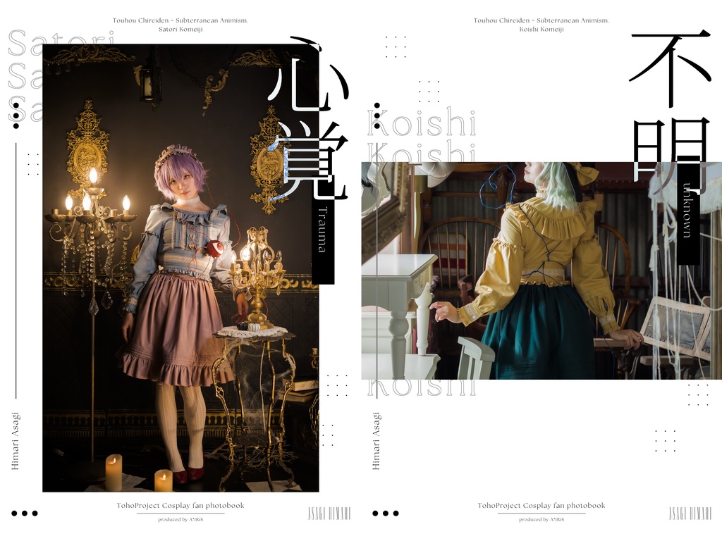 【例大祭22新刊】『心覚/不明』東方Project写真集