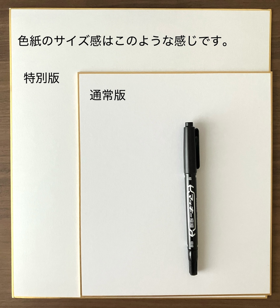 【色紙(大)特典付き】TAKE RESPONSIBILITY