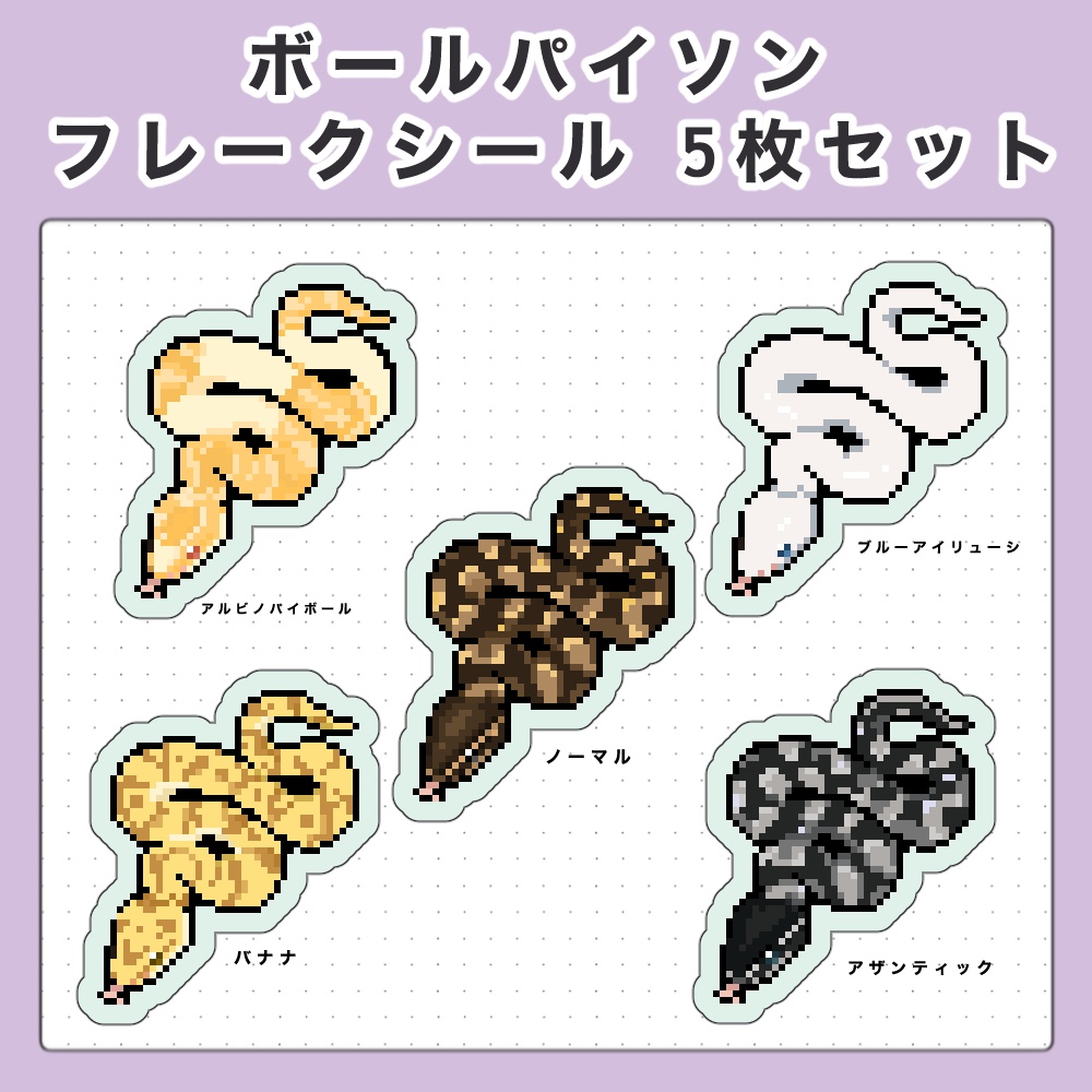 ボールパイソン フレークシール 5種セット