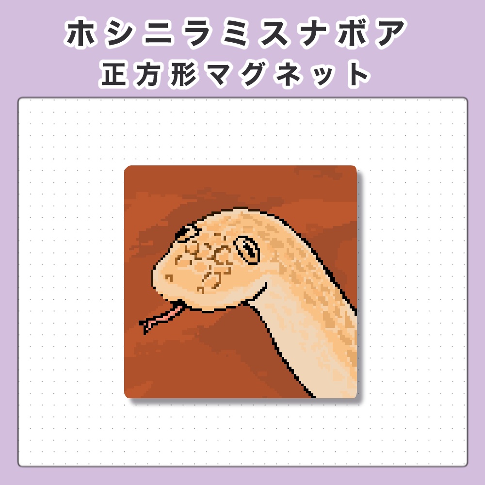 ホシニラミスナボア 正方形マグネット