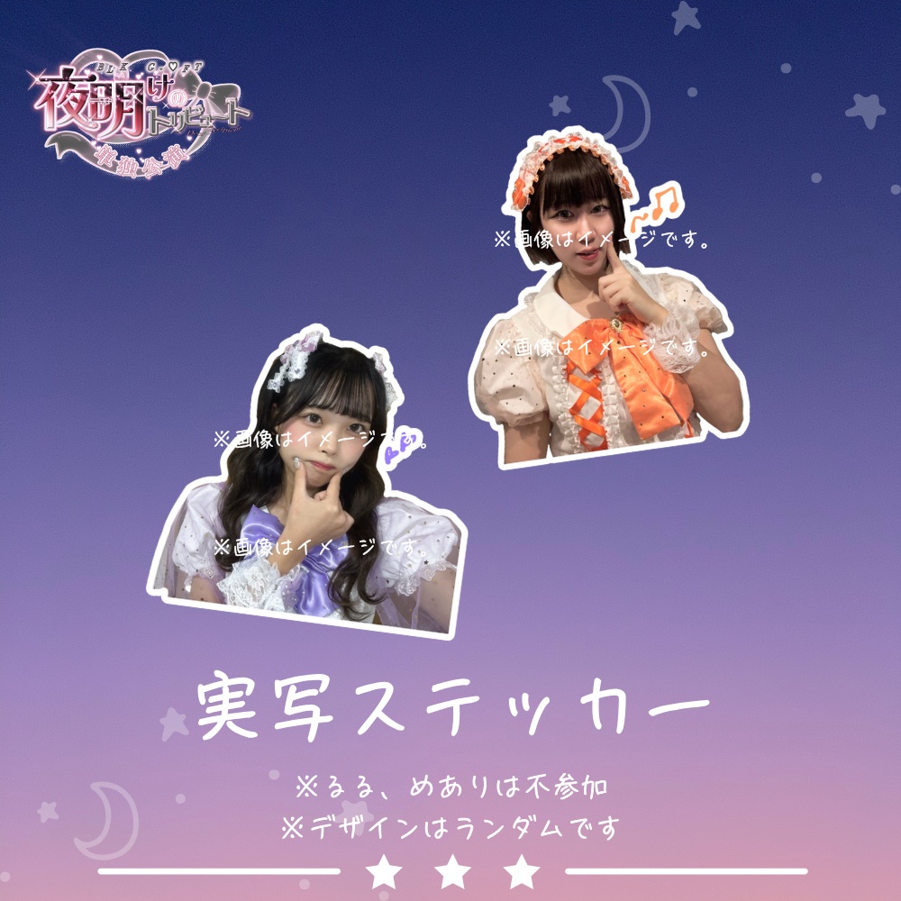 ランダム実写ステッカーセット