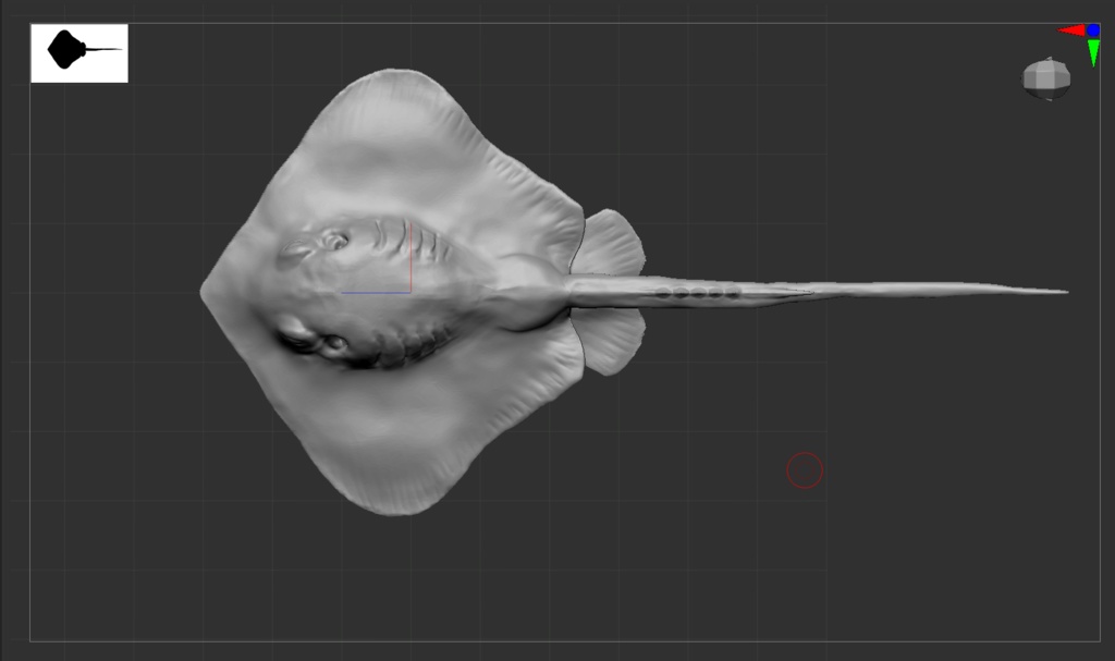 『stingray‐アカエイ‐』 アカエイ フィギュア STLファイル