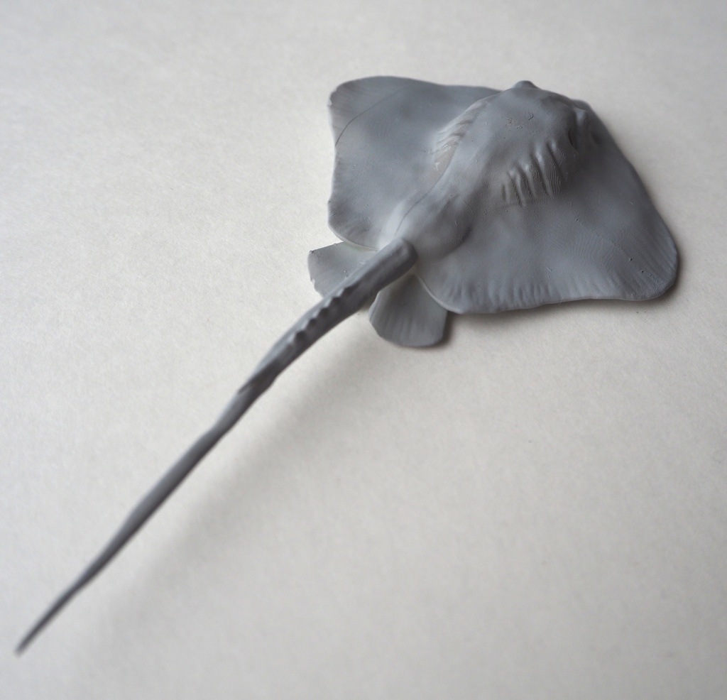 『stingray‐アカエイ‐』 アカエイ フィギュア STLファイル