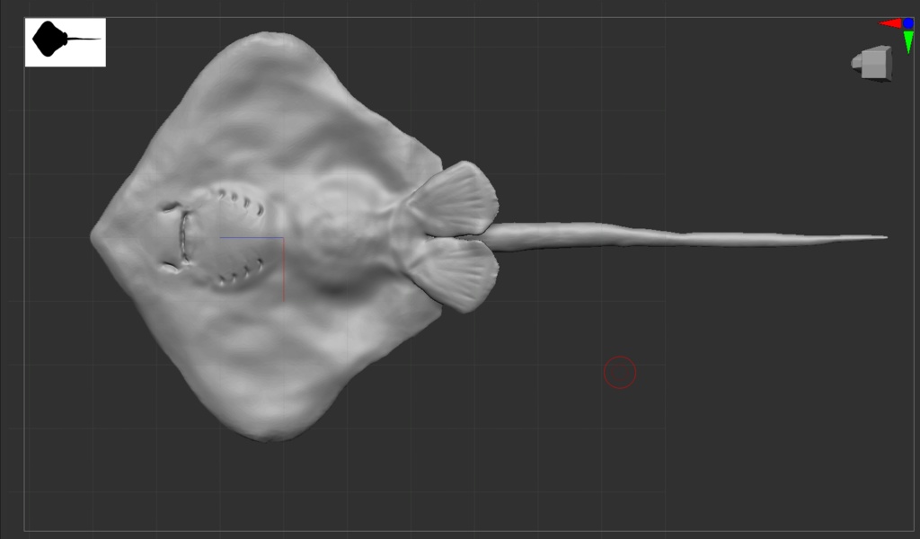 『stingray‐アカエイ‐』 アカエイ フィギュア STLファイル