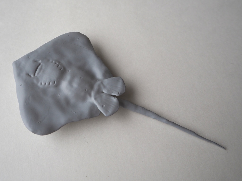 『stingray‐アカエイ‐』 アカエイ フィギュア STLファイル