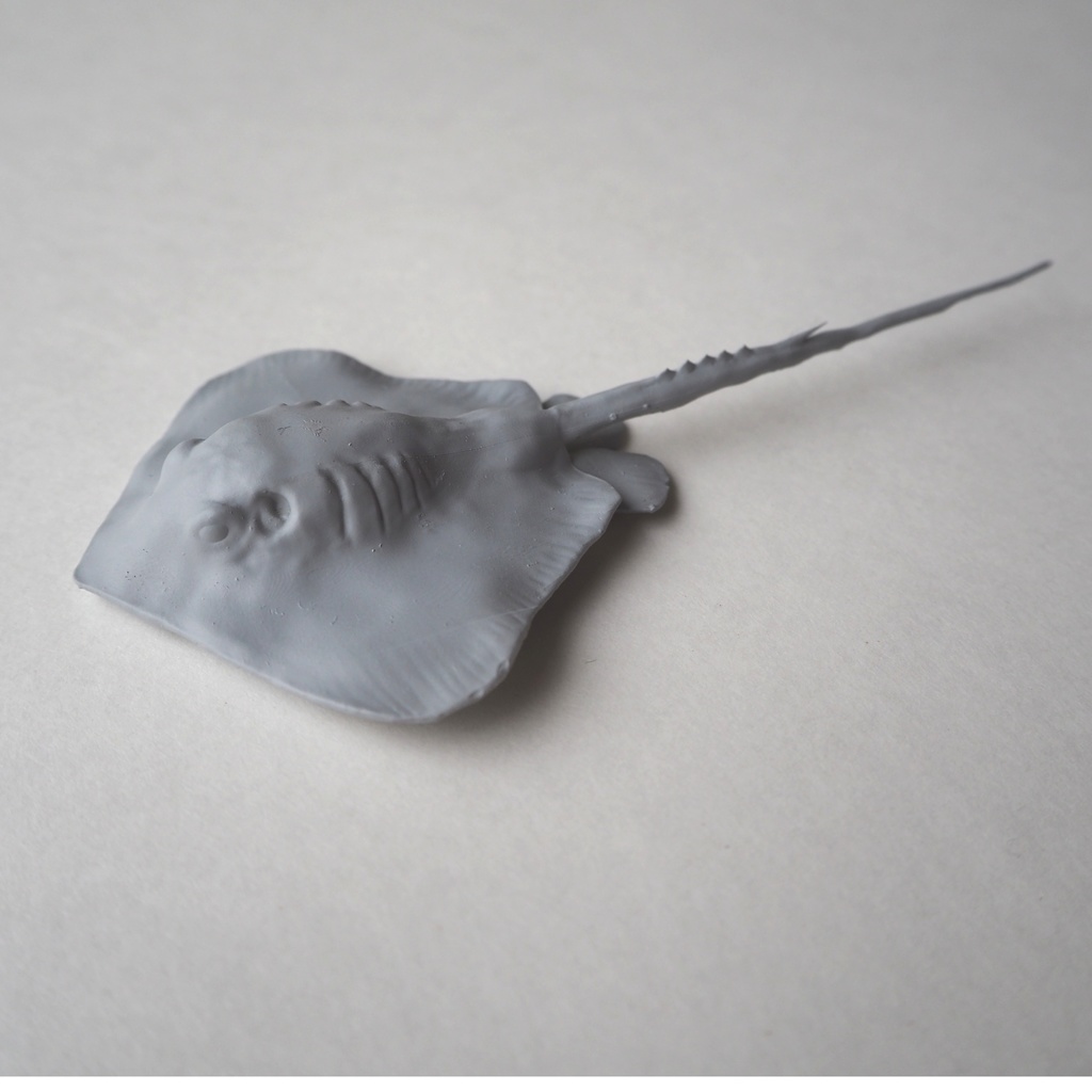 『stingray‐アカエイ‐』 アカエイ フィギュア STLファイル