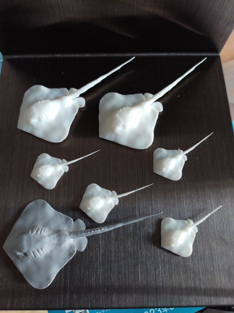 『Stingray‐アカエイ‐』(未塗装)ミニチュアフィギュア 全2サイズ