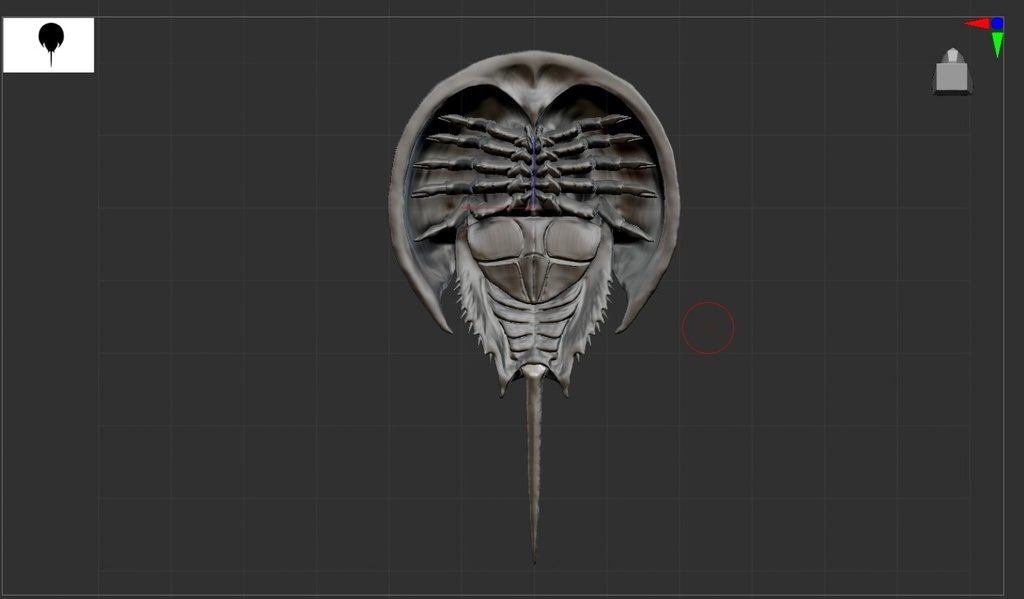 『Tachypleus tridentatus ‐カブトガニ‐』フィギュア STLファイル