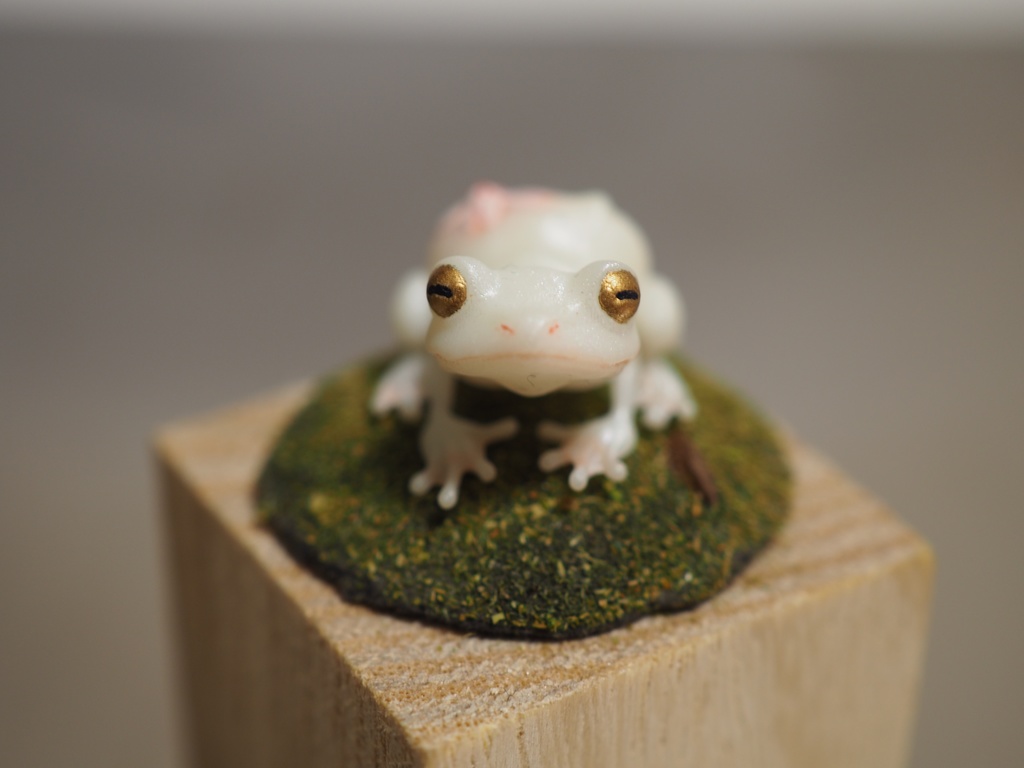 『どんな色にカエル?-デザイン×カエル-』(未塗装)