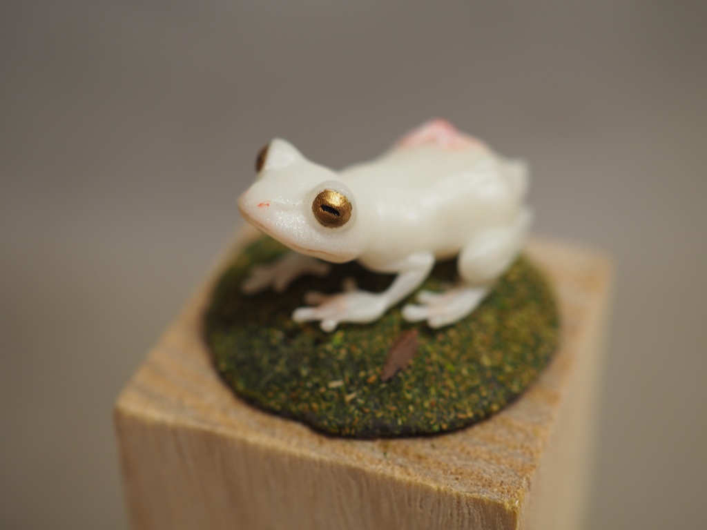 『どんな色にカエル?-デザイン×カエル-』(未塗装)