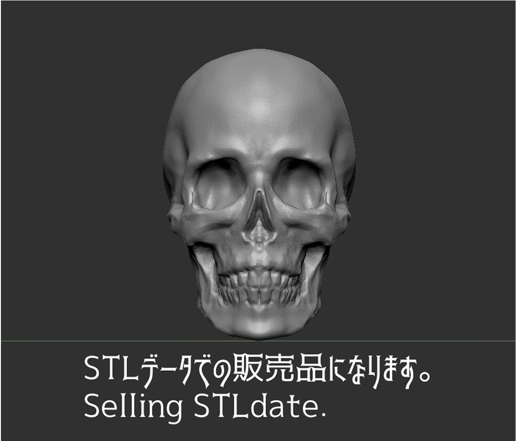 『Skull』　STLファイル　(骸骨3Dモデル)