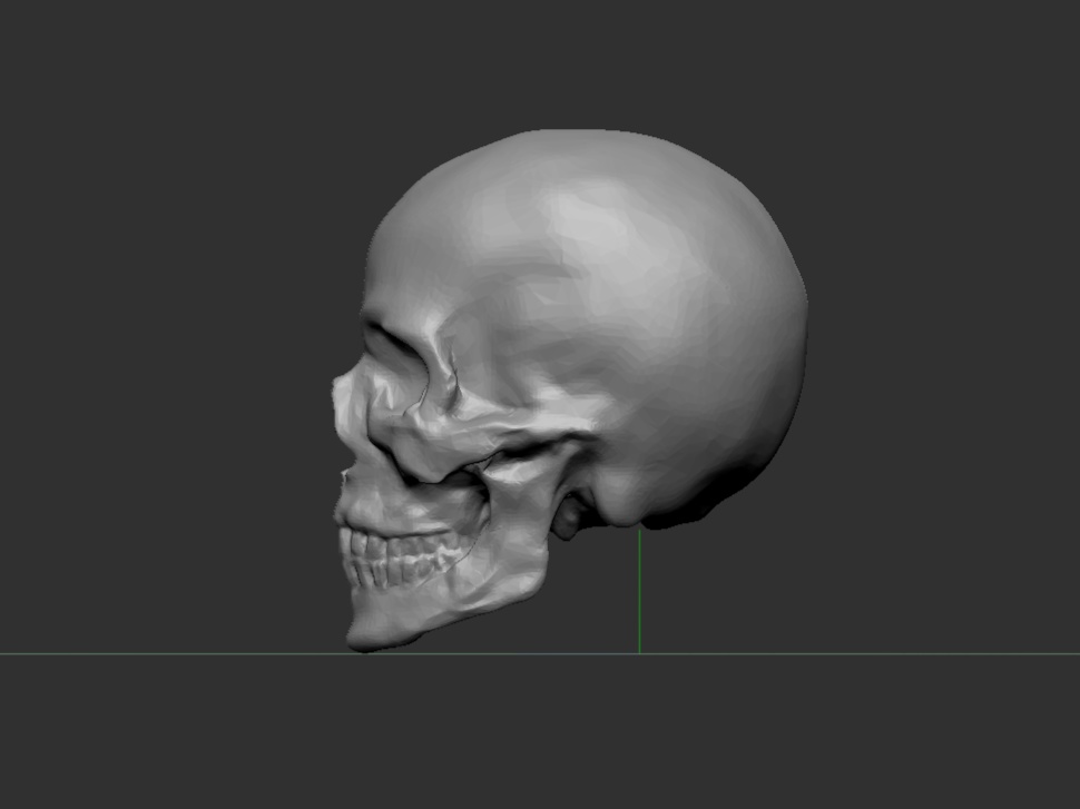 『Skull』 STLファイル (骸骨3Dモデル)