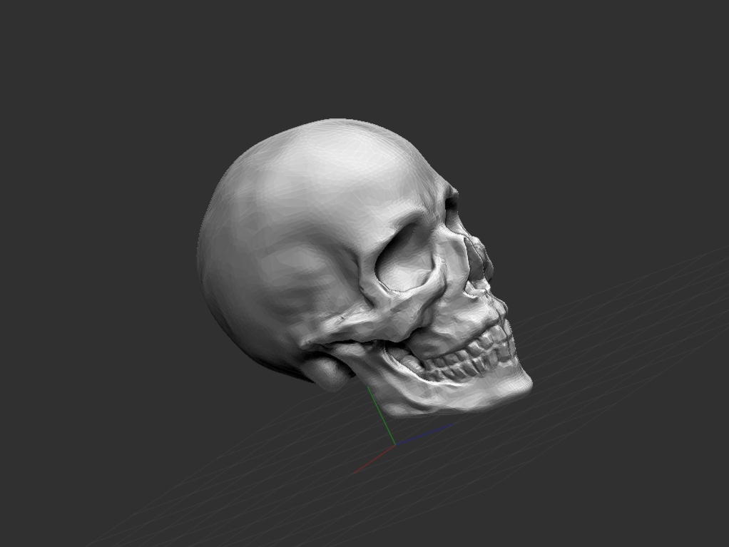 『Skull』 STLファイル (骸骨3Dモデル)