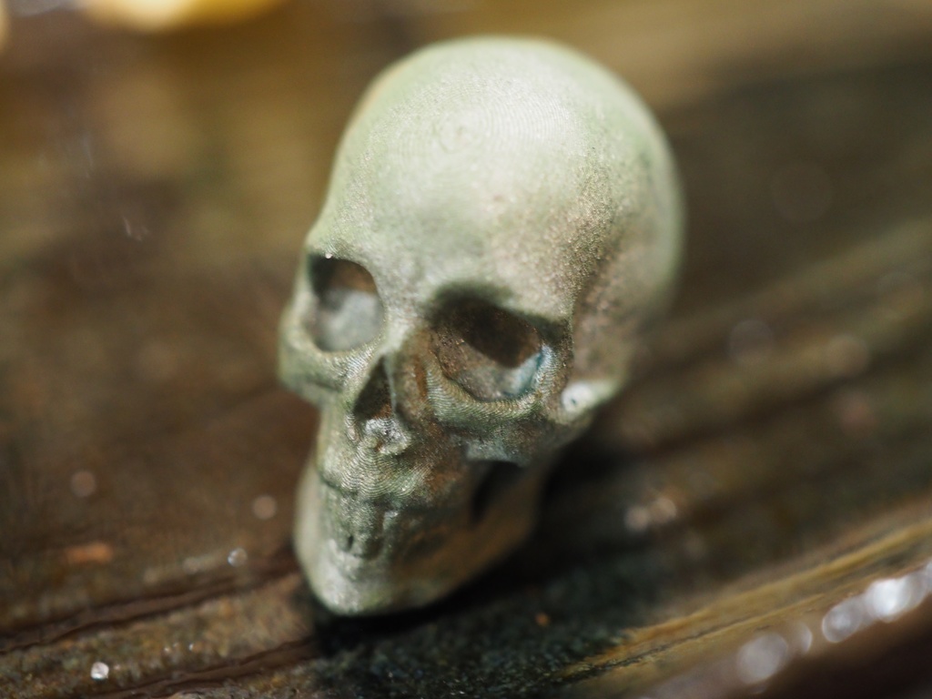『Skull』 STLファイル (骸骨3Dモデル)