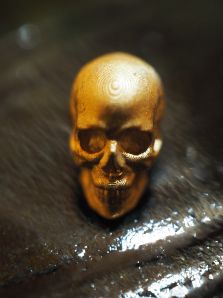 『Skull』骸骨1/12&1/24ミニチュアフィギュア (未塗装品)