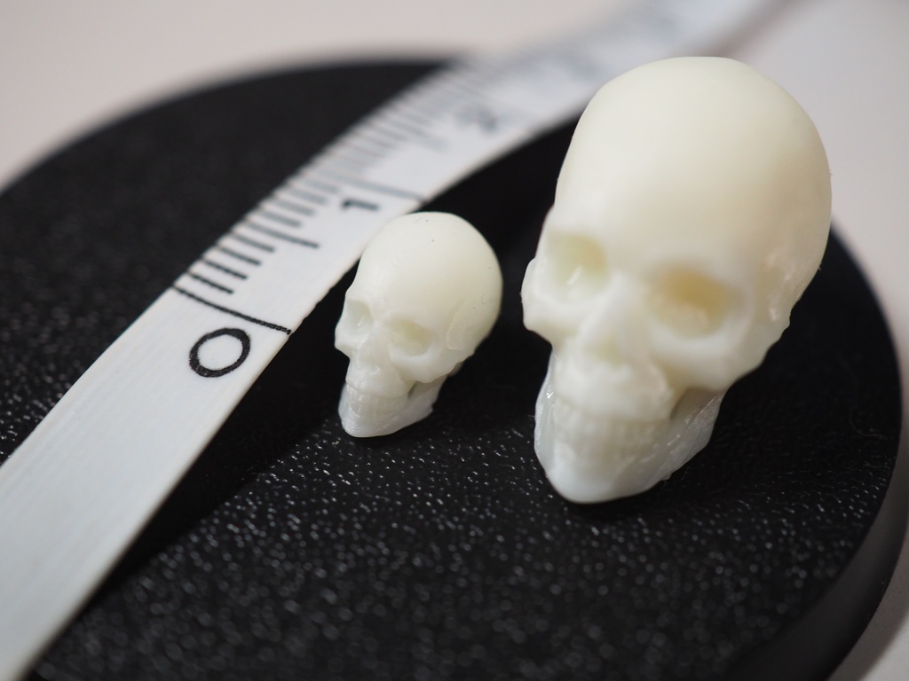 『Skull』骸骨1/12&1/24ミニチュアフィギュア (未塗装品)