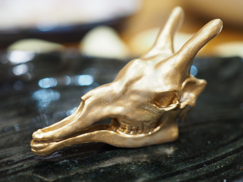 『Skull Giraffa』キリンの頭骨フィギュア