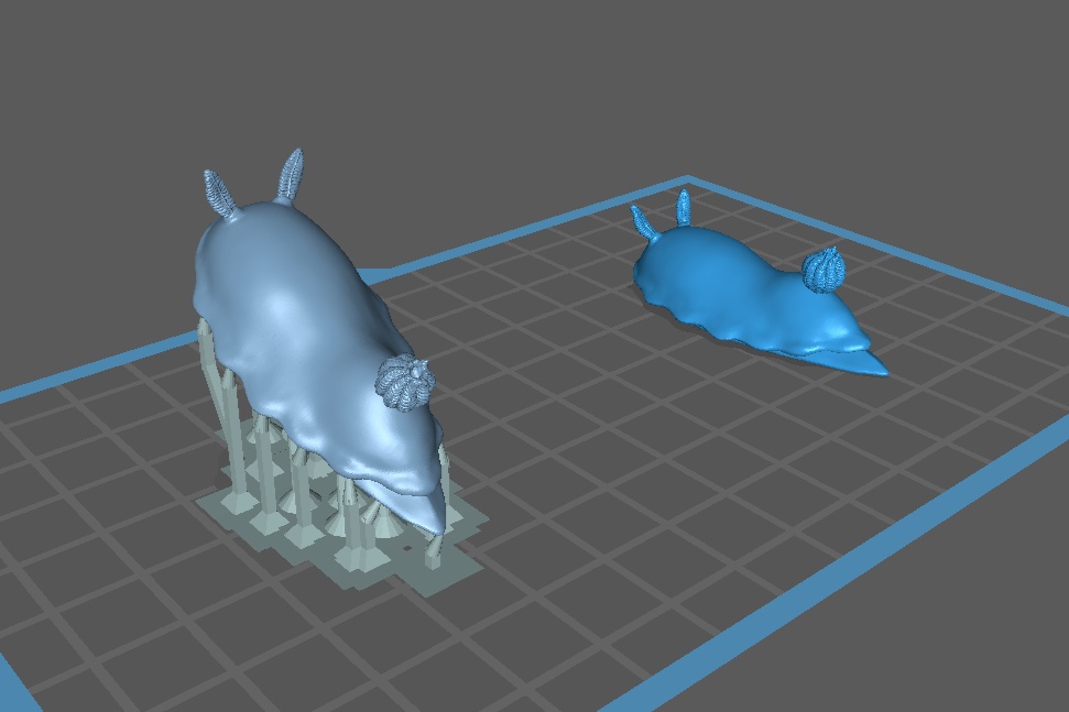 【3Dプリンター初心者さんでも安心】『ウミウシの箸置き』3Dモデル STLファイル(サポート付きあり)