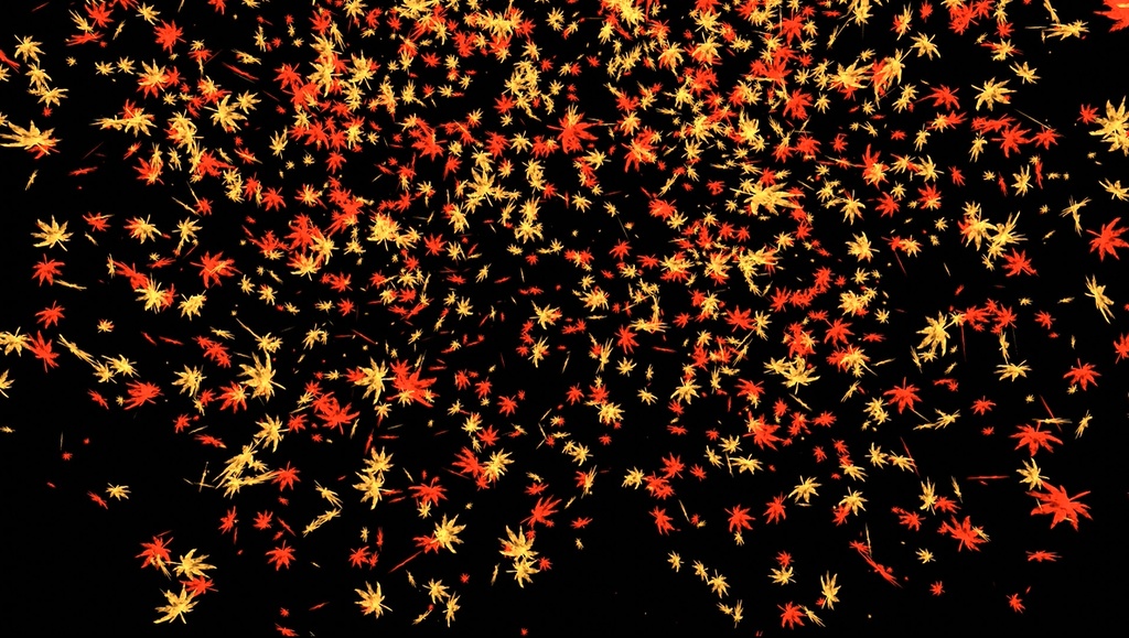 エフェクト素材・紅葉雨