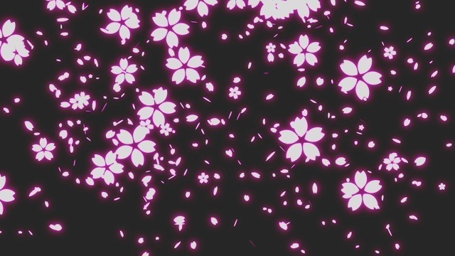エフェクト素材・桜散幕