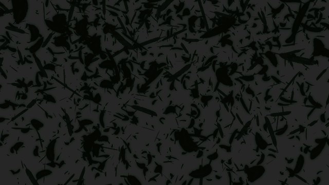 エフェクト素材・フェザーライジングトンネル