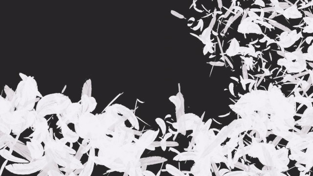 エフェクト素材・フェザーカーブダウンライン