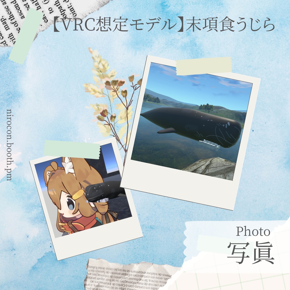 【VRChat想定モデル】末項食うじら