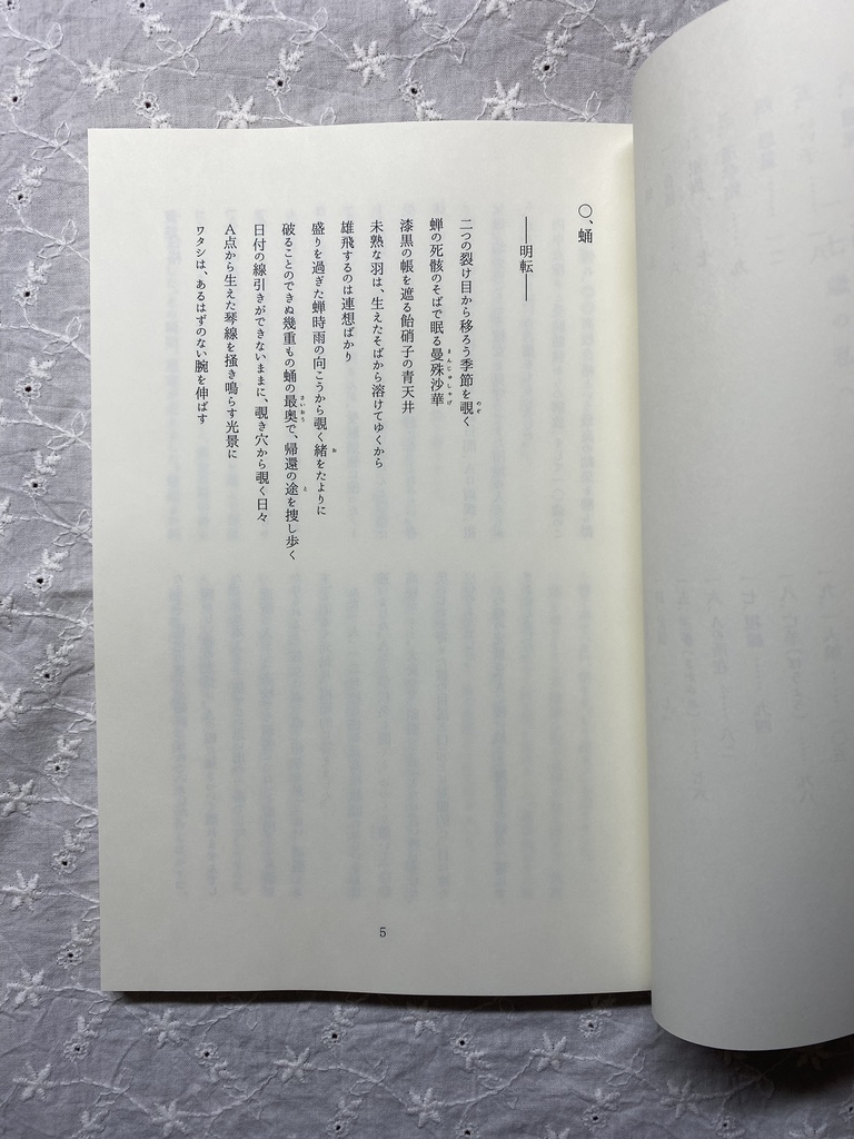 小説『蛹』