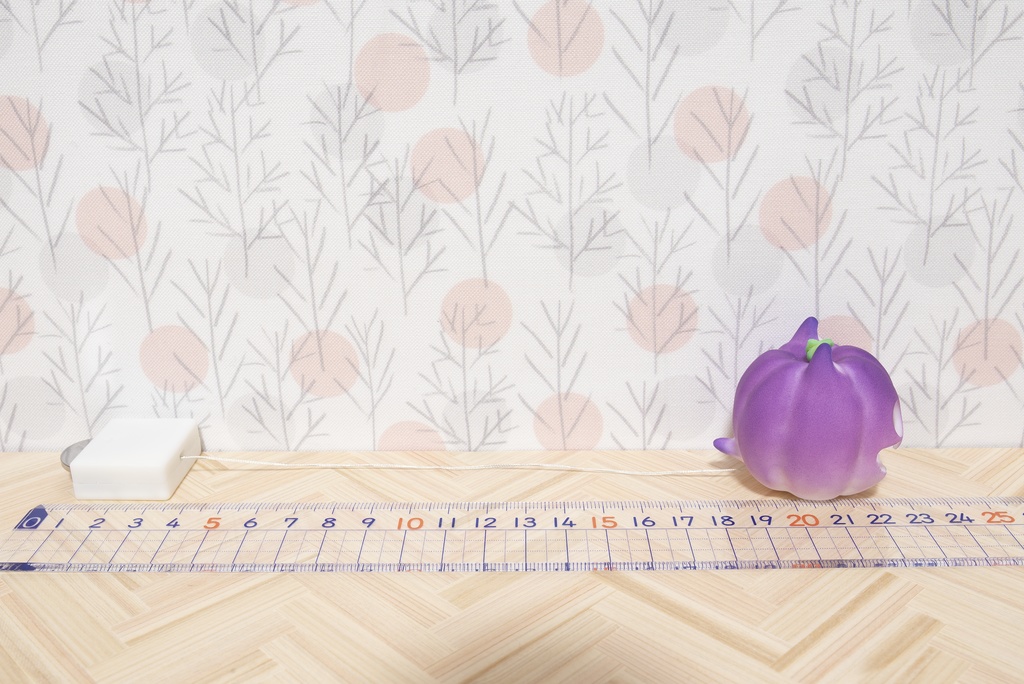 ハロウィンの猫かぼちゃランプ*グレープ*