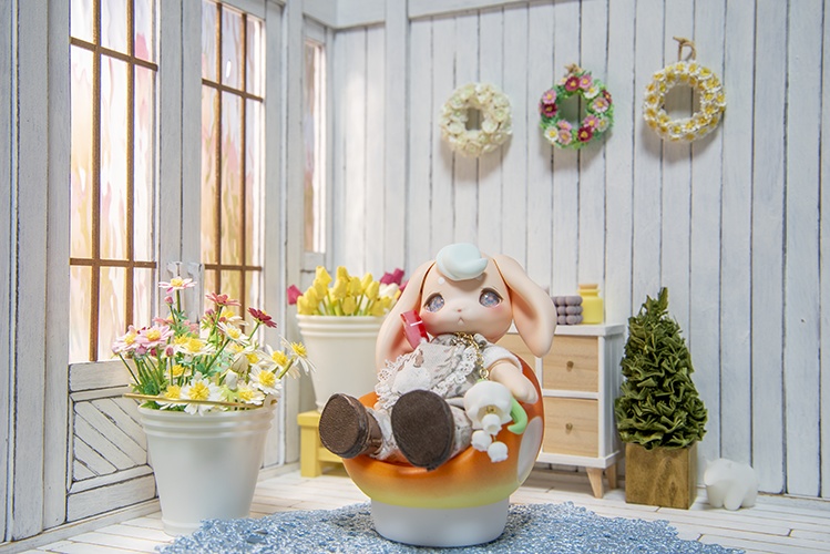 シャビーシックのミニスタジオ*door*【小さいコ用】