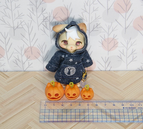 ハロウィン☆の猫かぼちゃセット＊オレンジ色＊