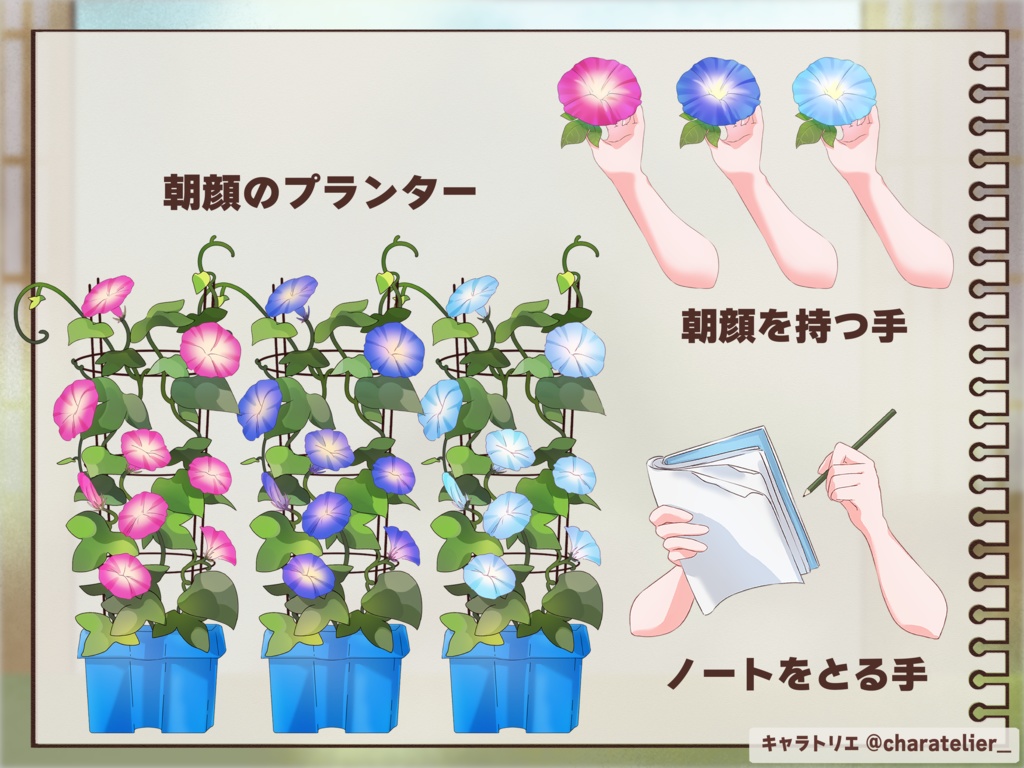 【Vtuberさん向け】朝顔