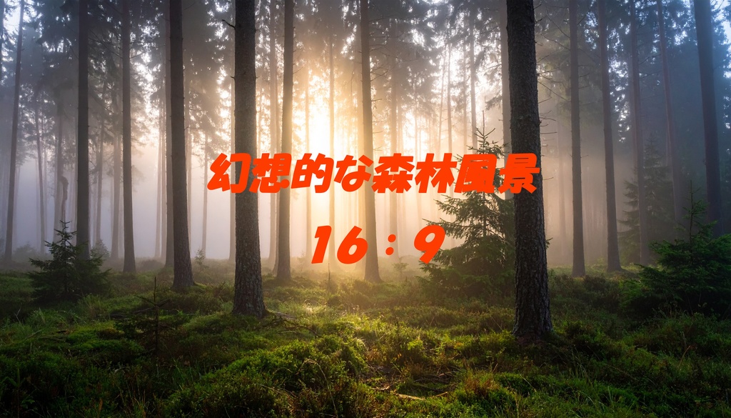 【背景】幻想的な森 4枚