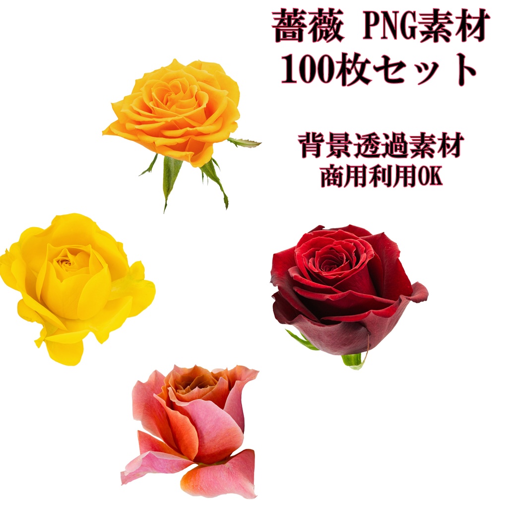 薔薇 PNG素材 100枚セット｜背景透過｜商用利用OK｜デザイン・動画素材